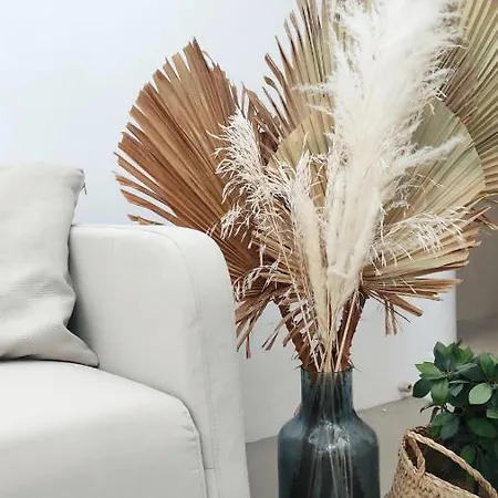 Nomad Surf House 호스텔