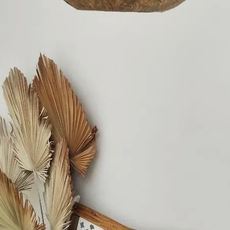 Nomad Surf House 호스텔 코라레호