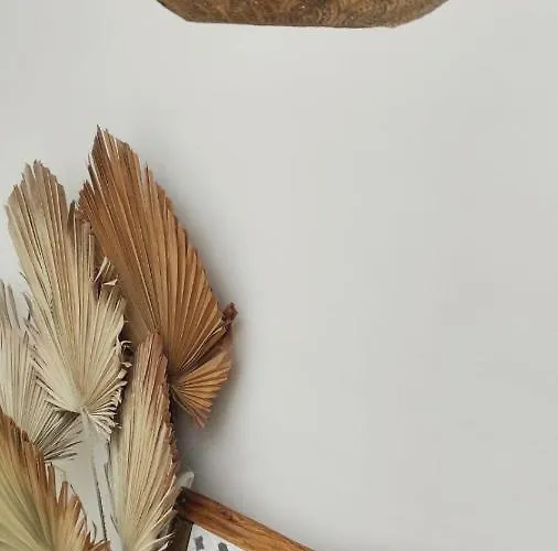 Nomad Surf House Хостел Коральео