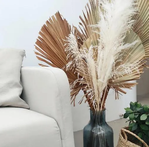 Nomad Surf House אכסניה